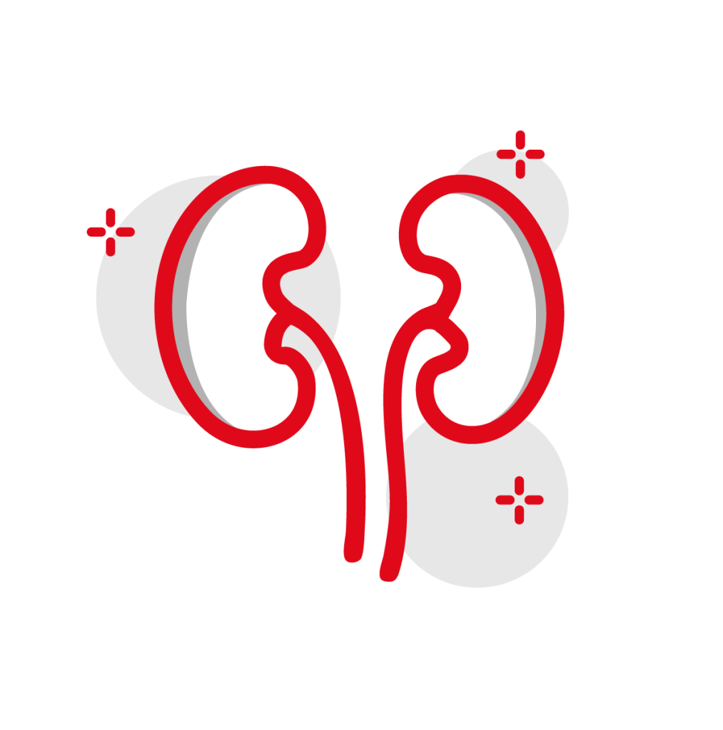 Logo Urologia fidamedica urologo padova rubano prostata vescica reni