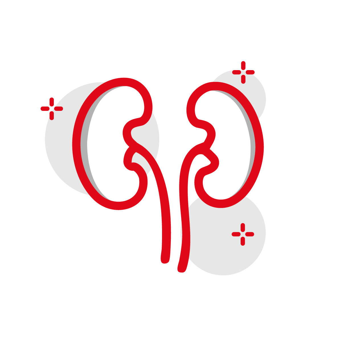 Logo Urologia fidamedica urologo padova rubano prostata vescica reni